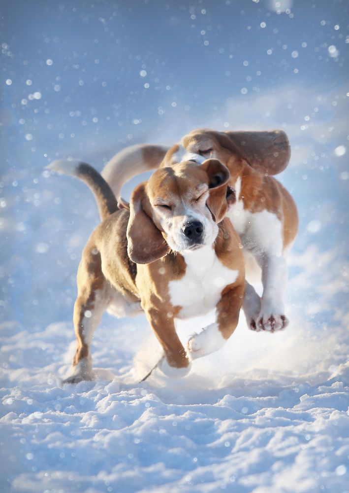 Фотография автора Katerina Mumzhinskaya