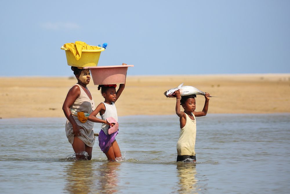 Фотография автора Елена Баврина