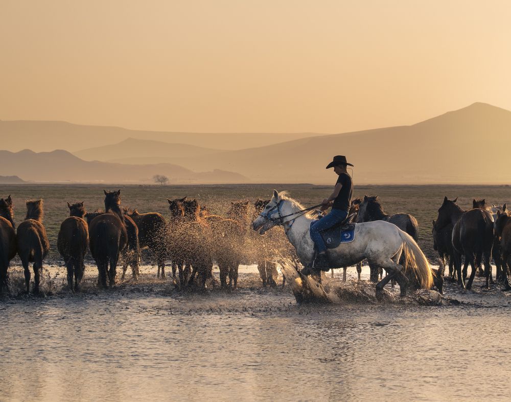 Photograph by Мария Григорьева