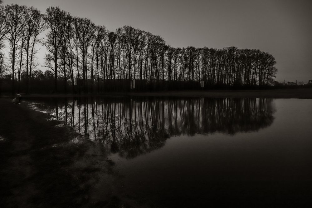 Photograph by Роман Богданов