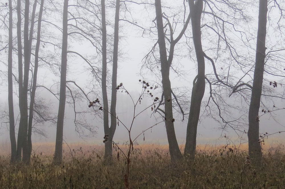 Photograph by Наташа Фишер