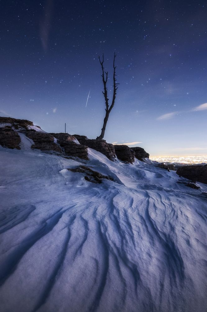 Photograph by Francesco Turra