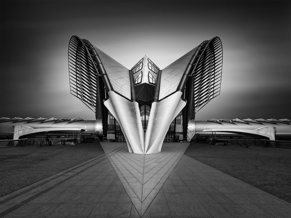 Photograph by Antoni Figueras