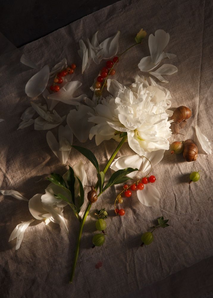 Photograph by Виктория