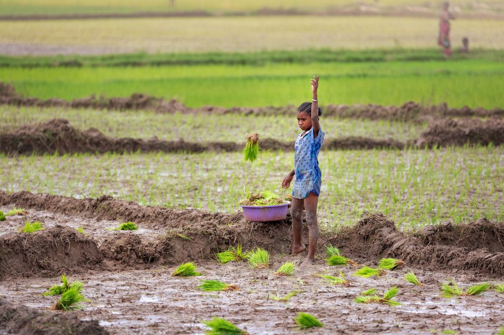 Фотография автора Елена Баврина