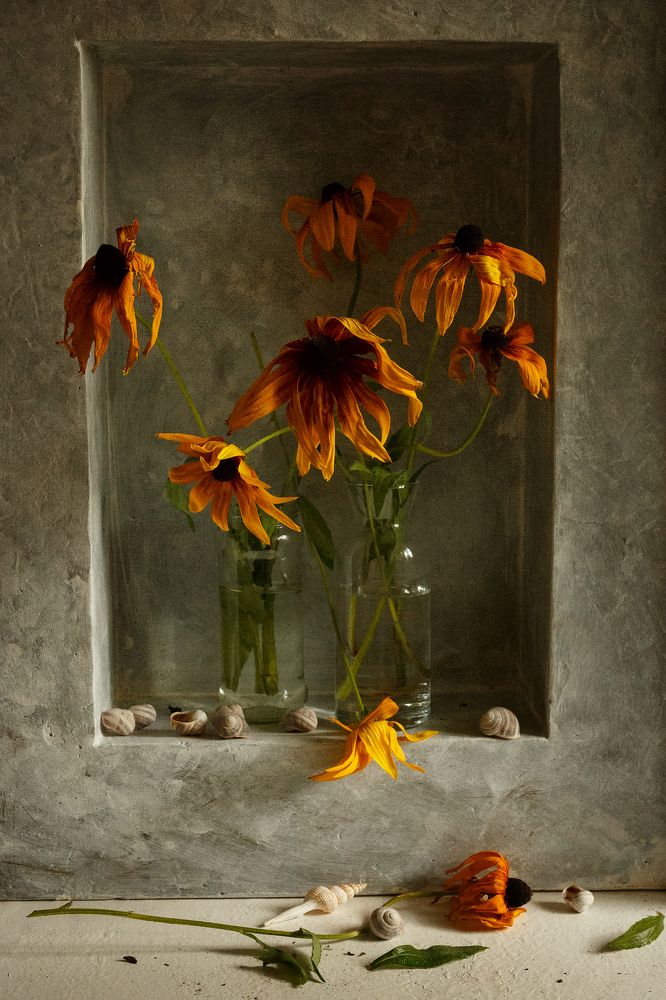 Photograph by Виктория