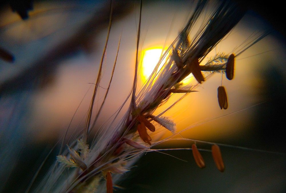Photograph by Jinit Kundu