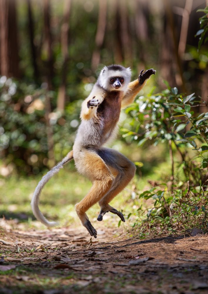 Фотография автора Елена Баврина