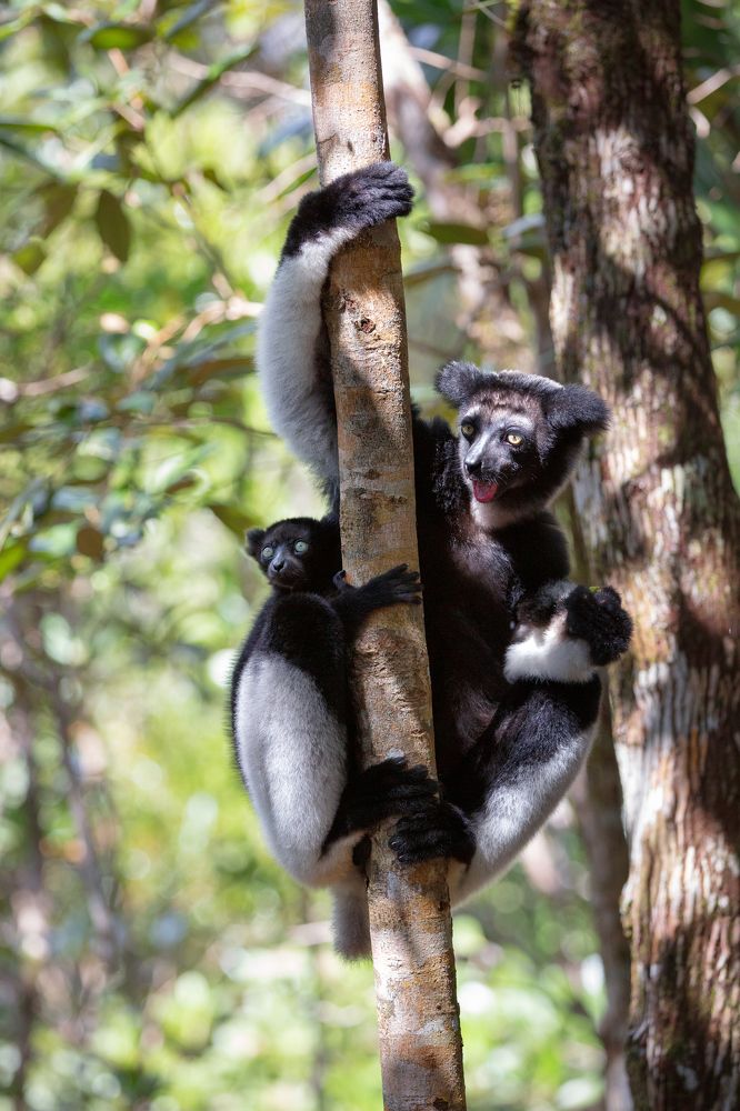 Фотография автора Елена Баврина