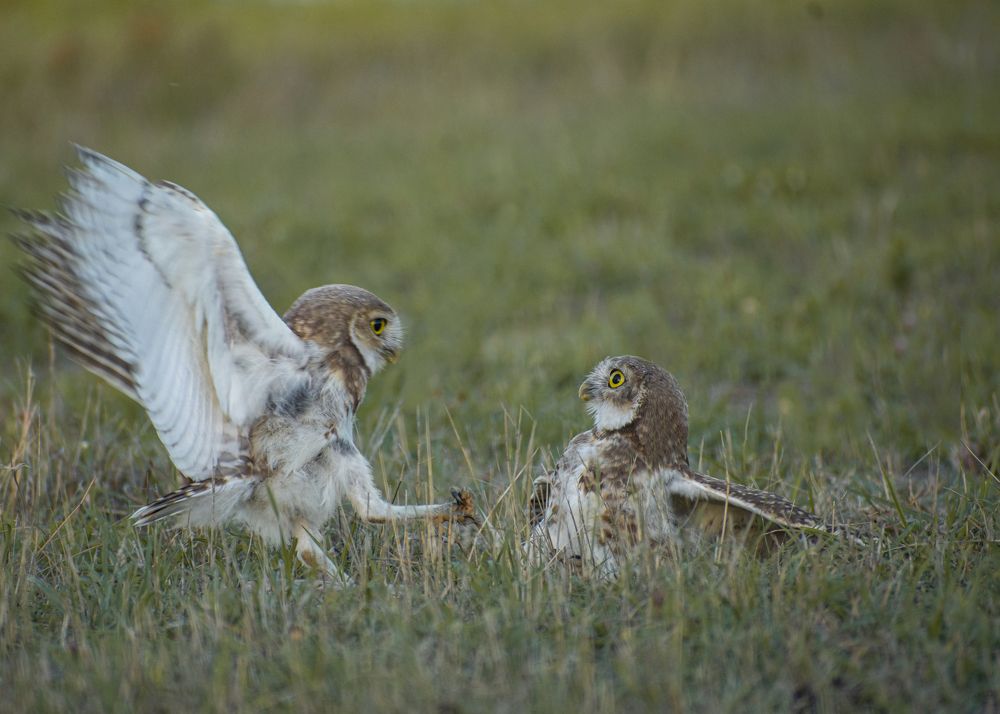 Photograph by Sandra Arena