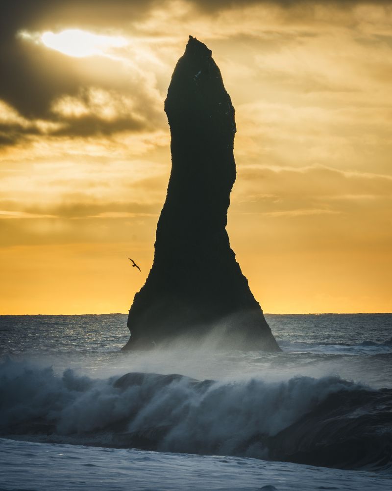 Фотография автора Bogdan Barbulescu