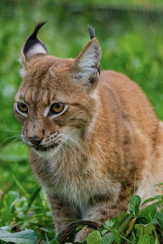 Photograph by Алексей Большаков