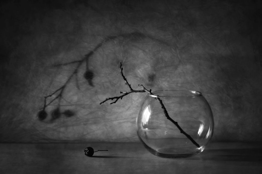 Фотография автора Дарья Шамакина