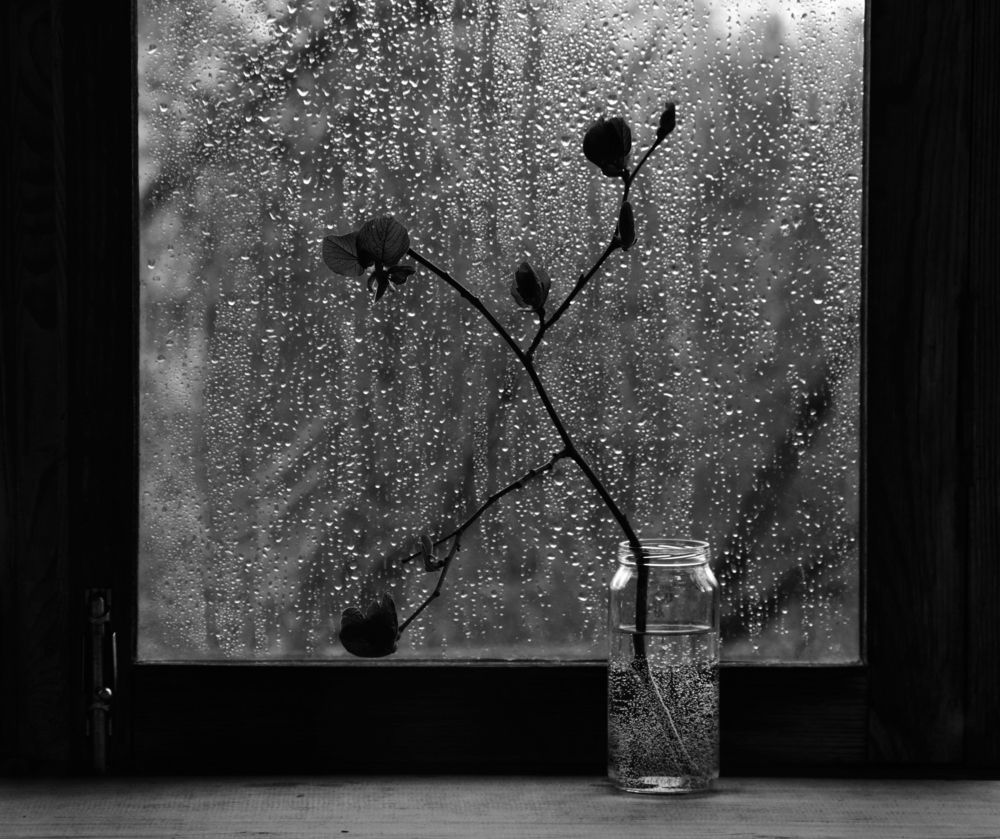 Фотография автора Дарья Шамакина