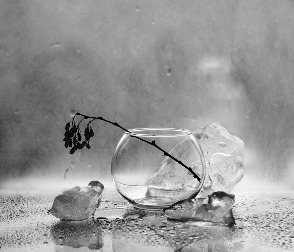 Фотография автора Дарья Шамакина