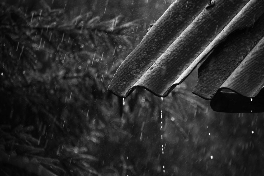 Фотография автора Дарья Шамакина