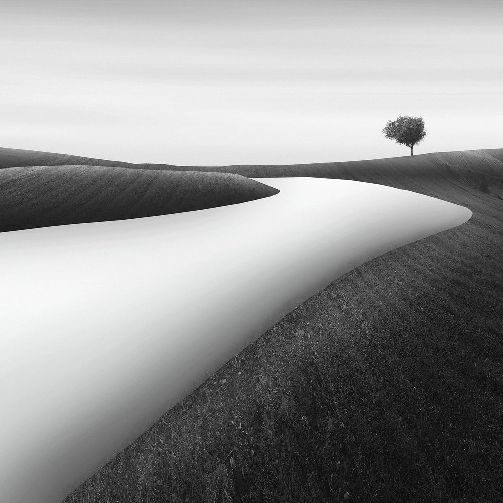 Photograph by Mohammad Dadsetan