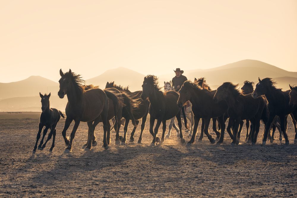 Photograph by Мария Григорьева