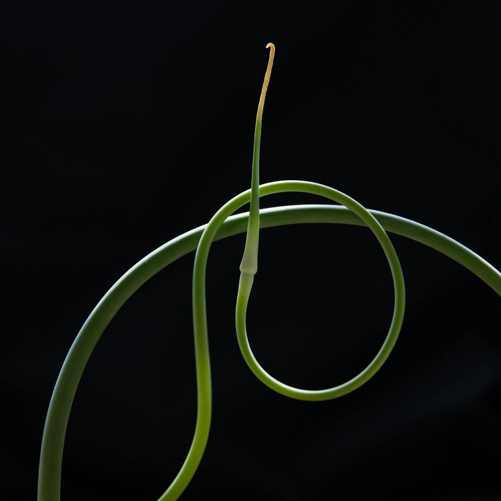 Photograph by Евдокия Спуре