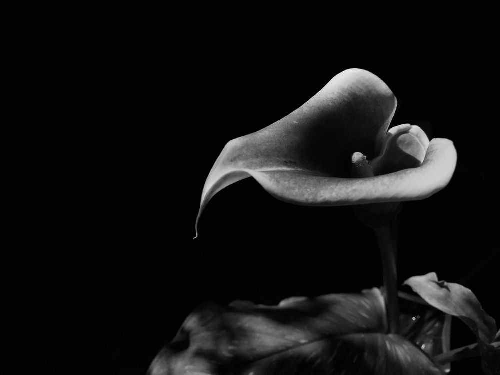 Photograph by Yekaterina Molostova