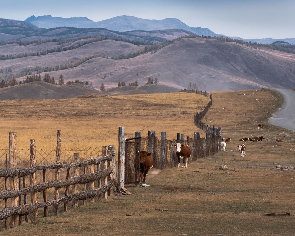 Photograph by Вадим Коротеев