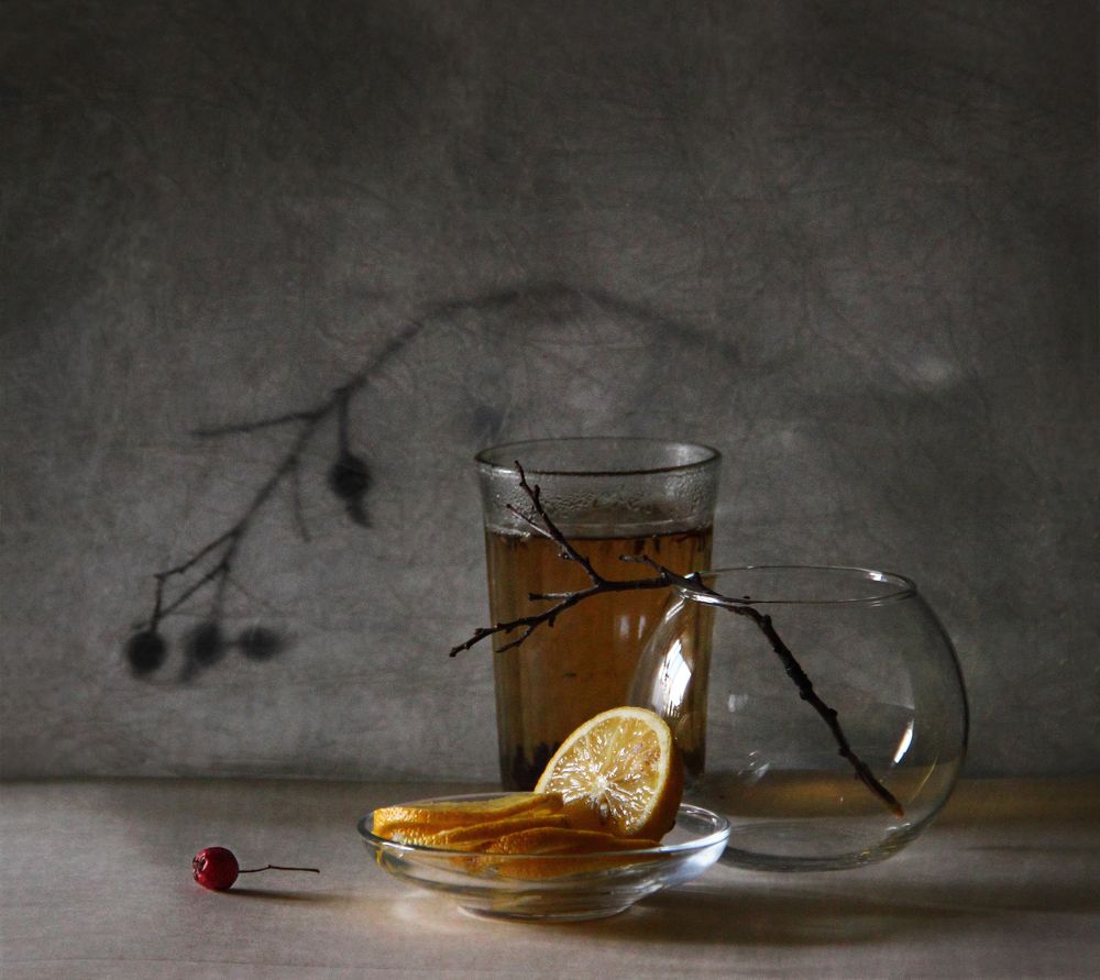 Фотография автора Дарья Шамакина