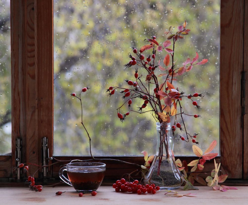 Фотография автора Дарья Шамакина