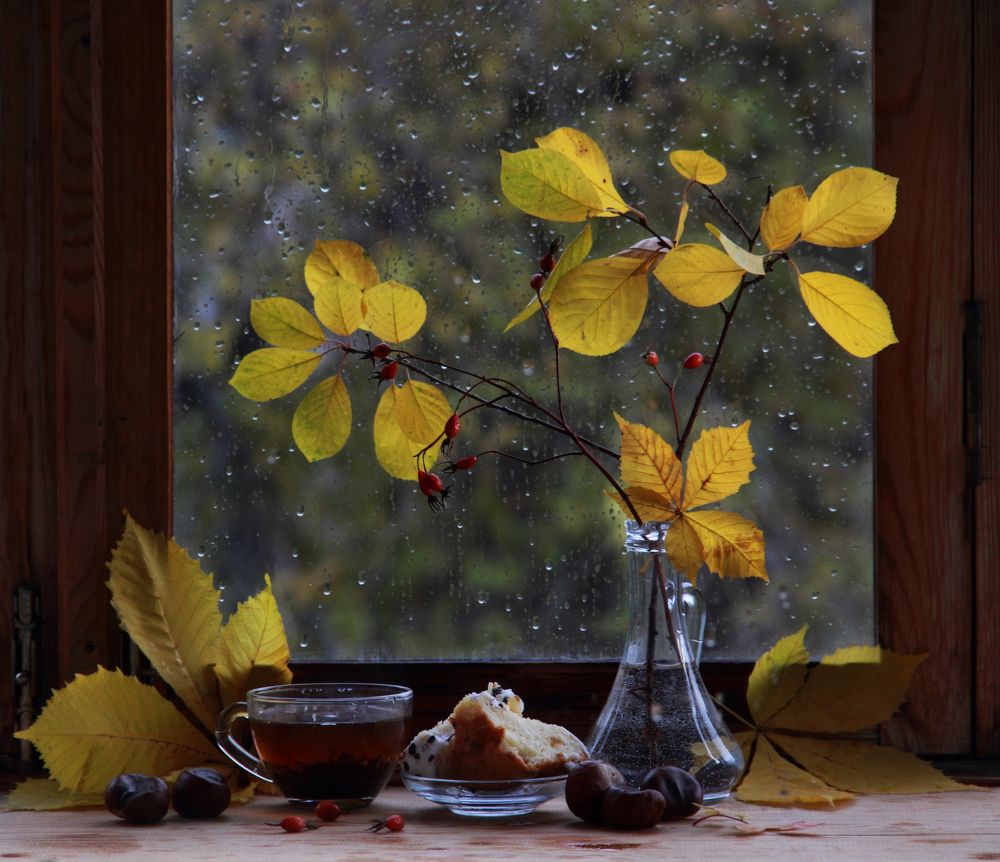 Фотография автора Дарья Шамакина