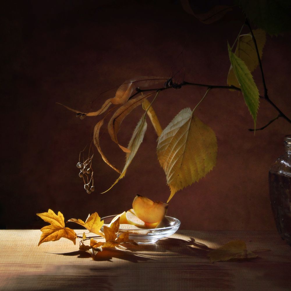 Фотография автора Дарья Шамакина