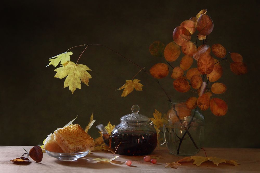 Фотография автора Дарья Шамакина