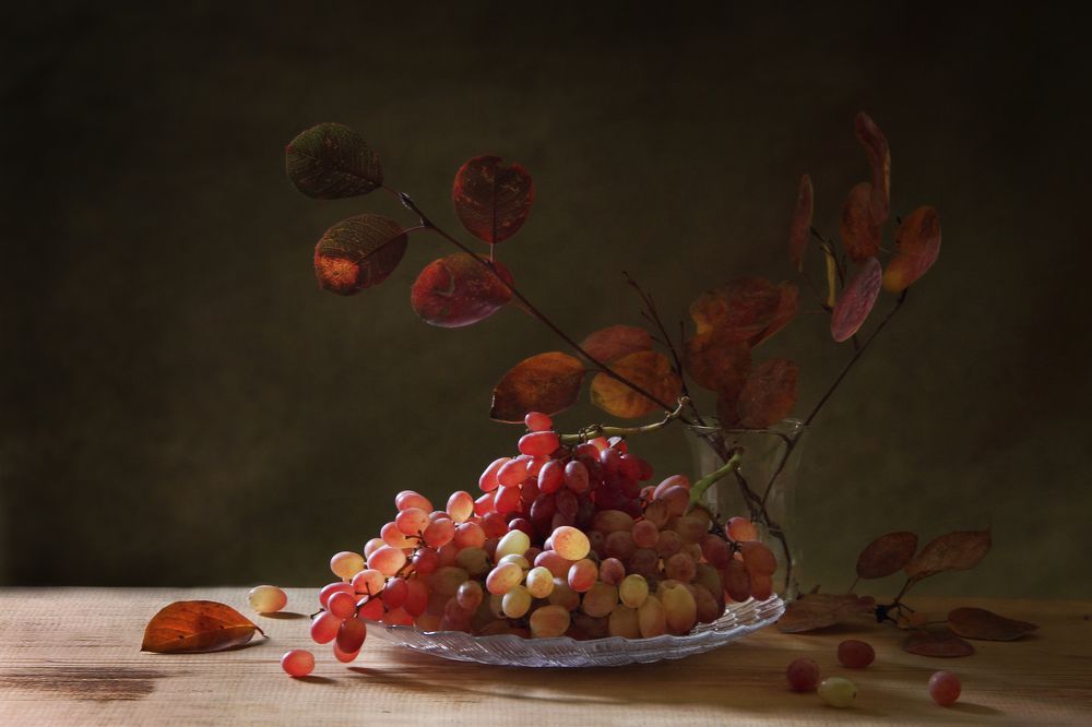 Фотография автора Дарья Шамакина