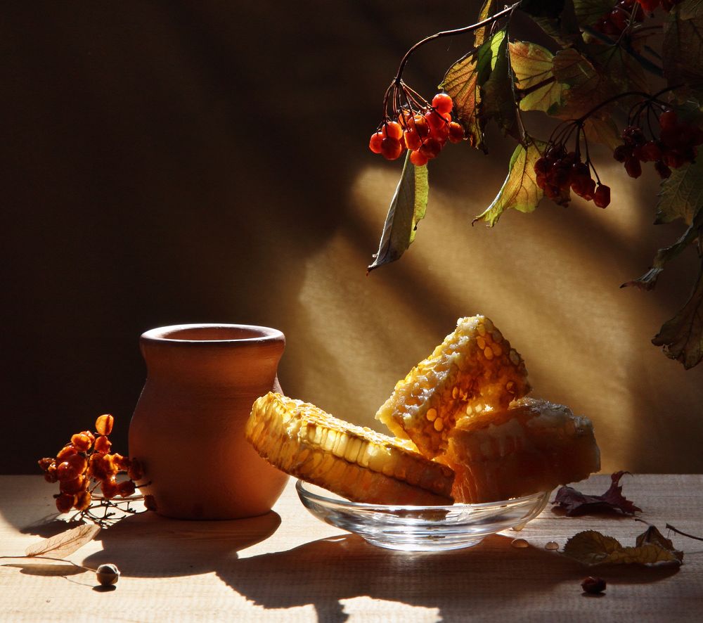 Фотография автора Дарья Шамакина