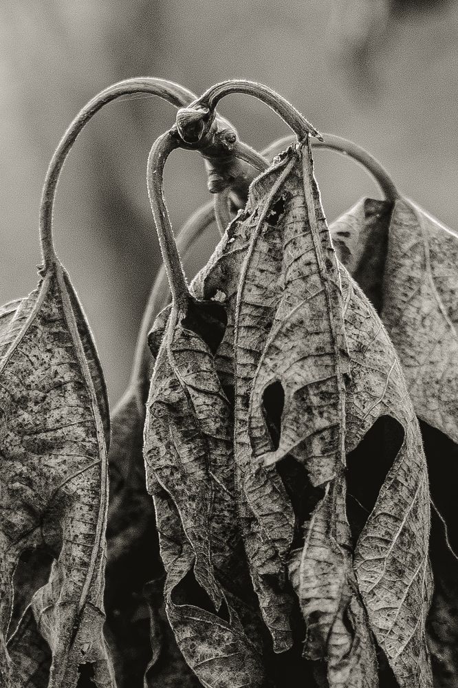 Photograph by Екатерина Ходус