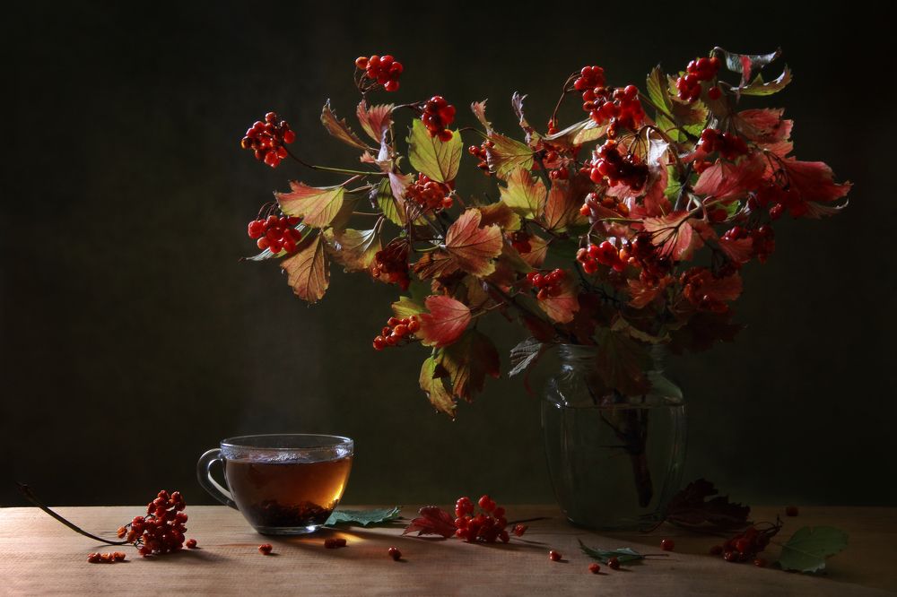 Фотография автора Дарья Шамакина