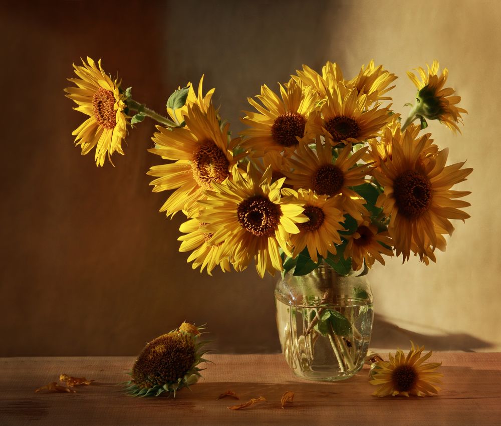 Фотография автора Дарья Шамакина