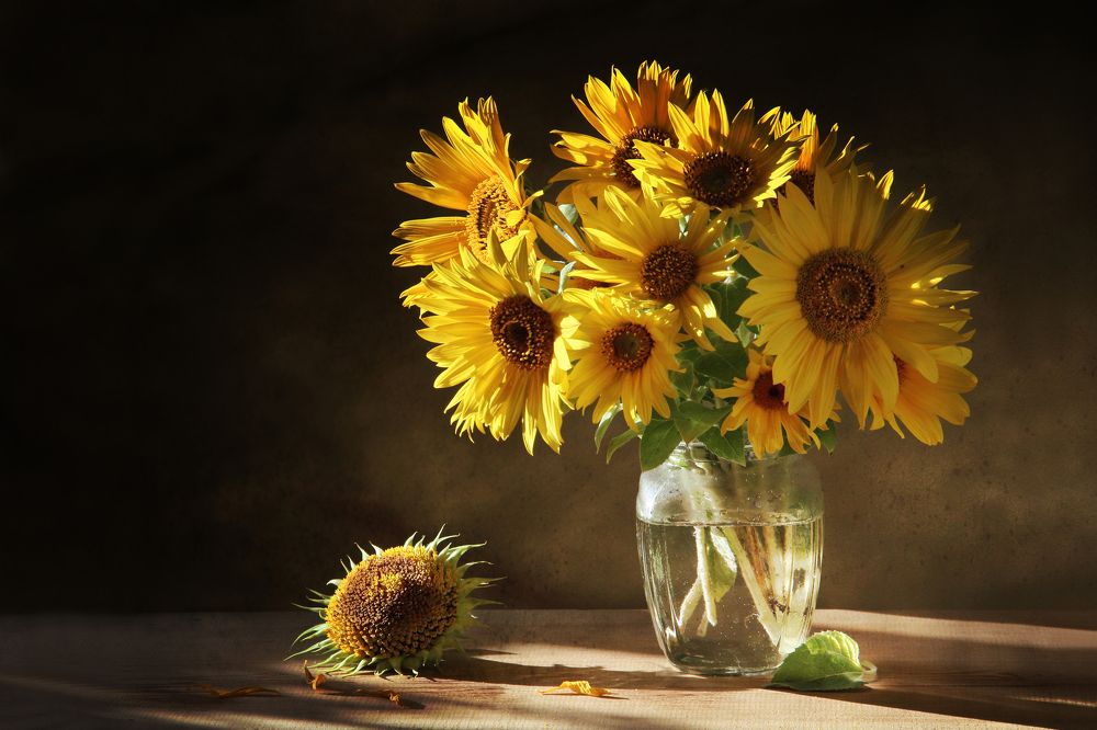 Фотография автора Дарья Шамакина