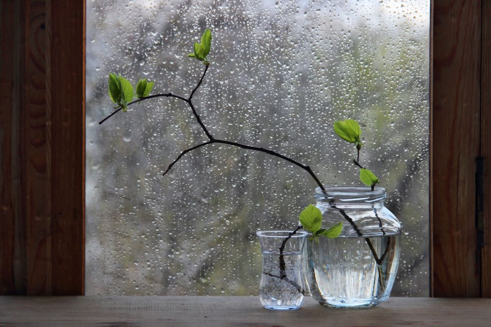 Фотография автора Дарья Шамакина