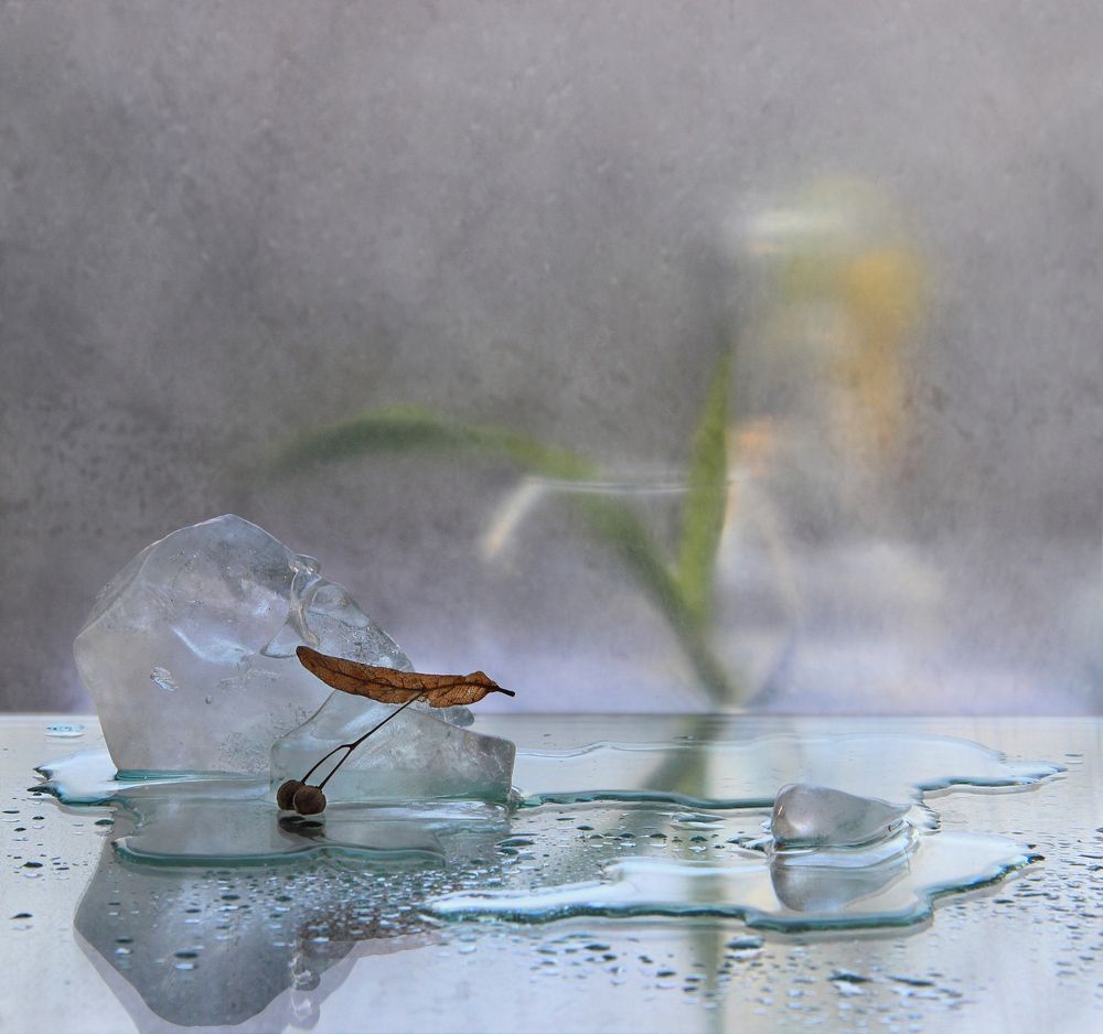 Фотография автора Дарья Шамакина