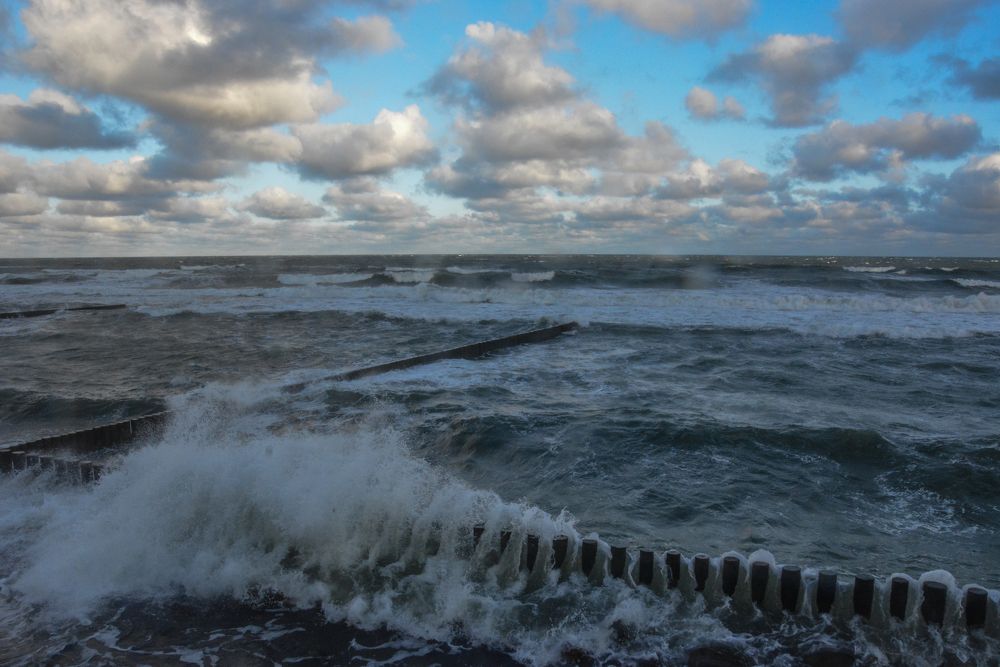 Природа..., все в ней!