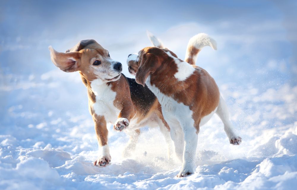 Фотография автора Katerina Mumzhinskaya