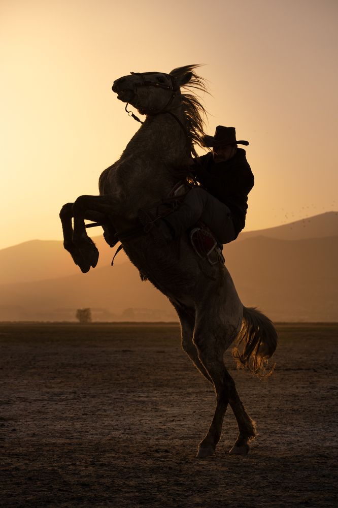 Photograph by Мария Григорьева