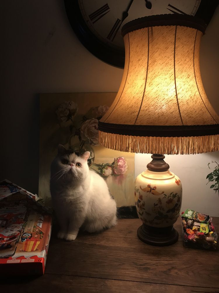 Photograph by Olga Fokin