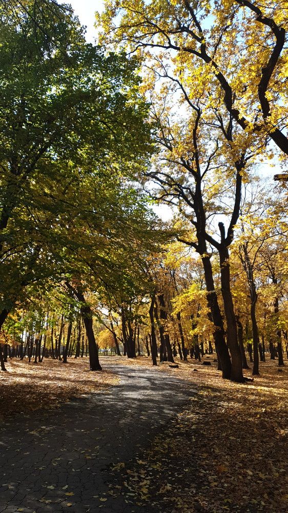Фотография автора Ольга Меньшенина