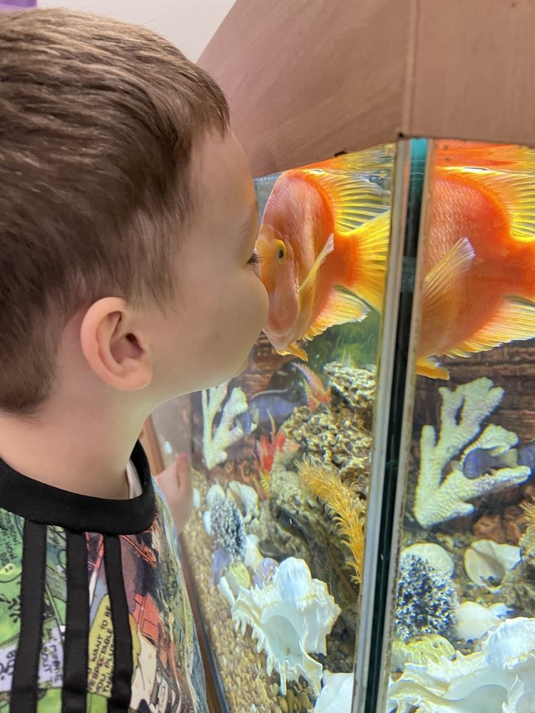 Photograph by Надежда Ткач