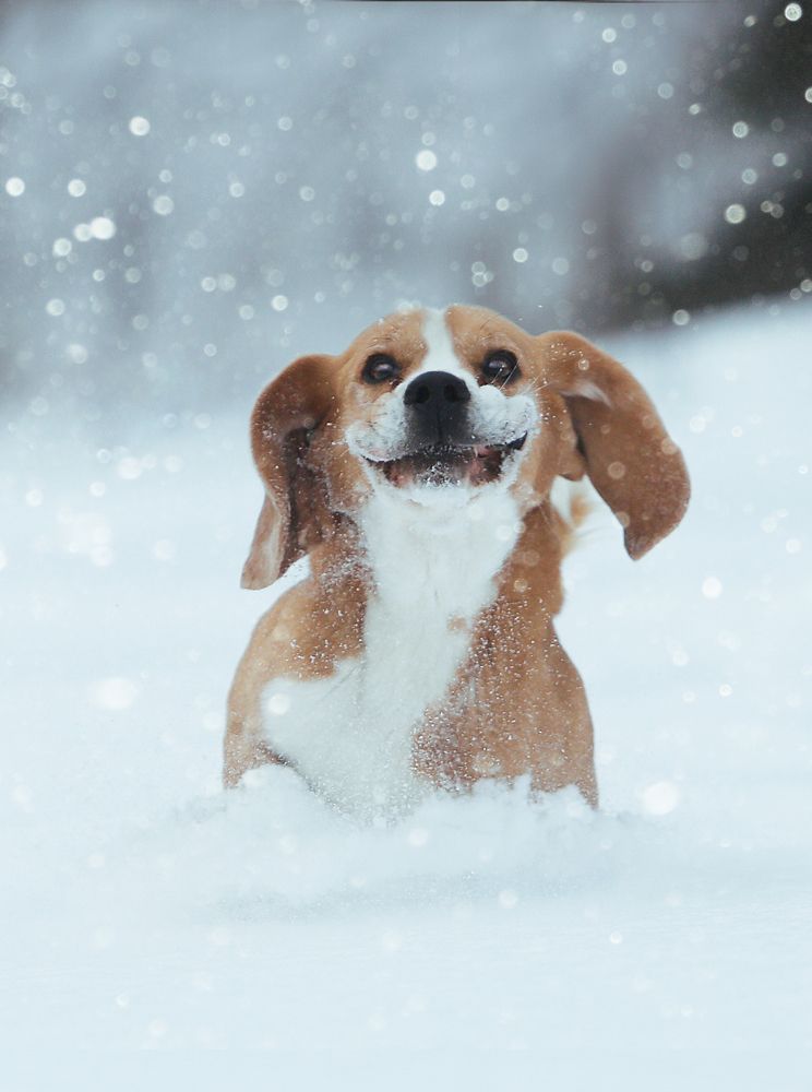 Фотография автора Katerina Mumzhinskaya