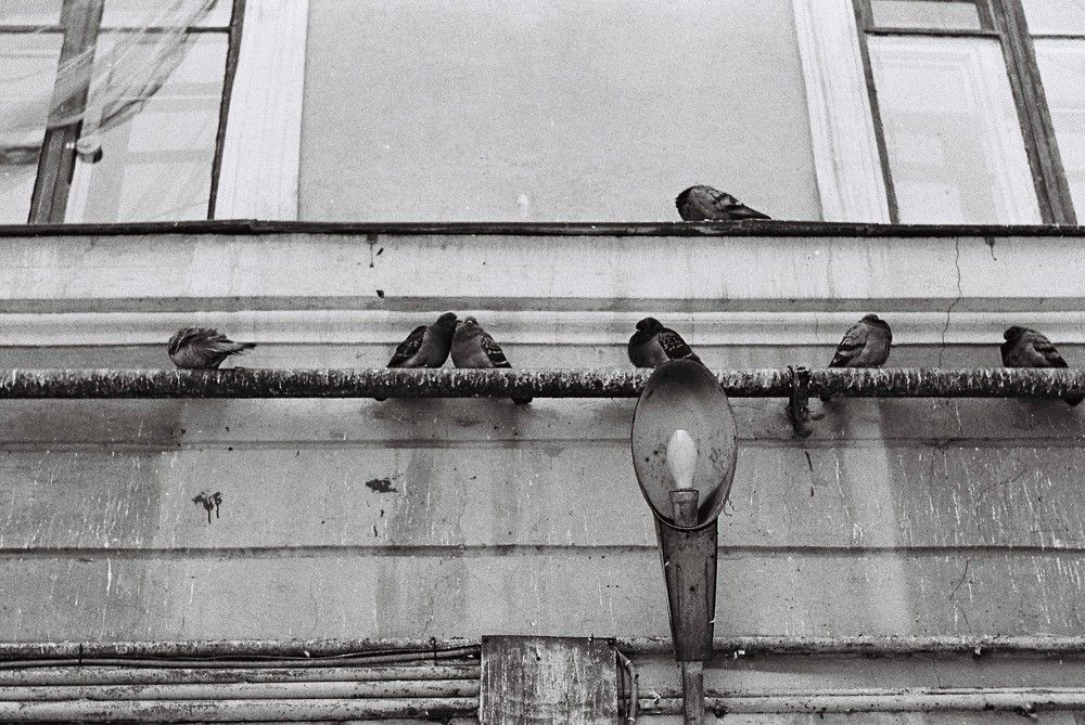 Photograph by Анастасия Гуcельникова