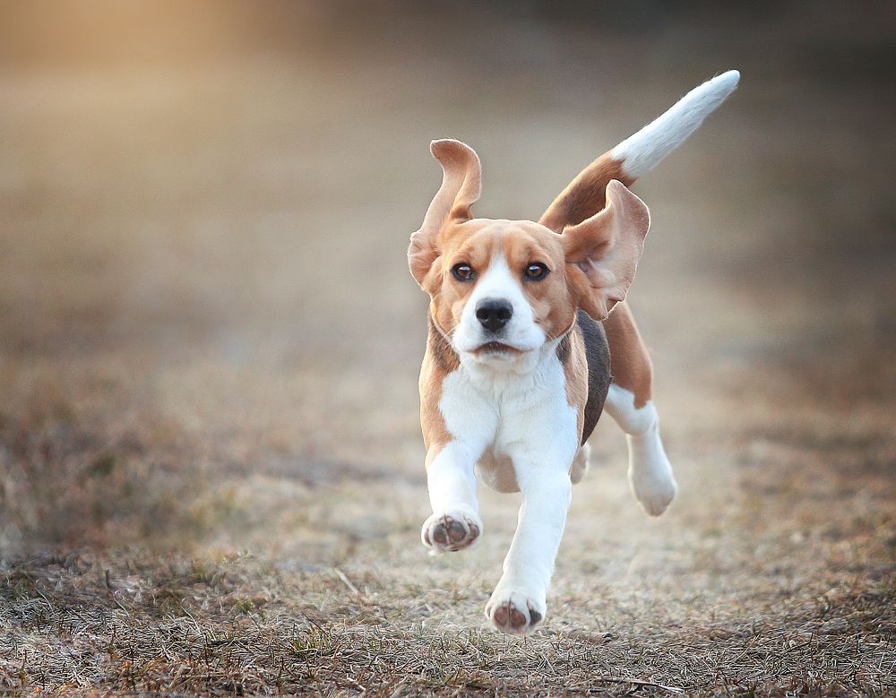 Фотография автора Katerina Mumzhinskaya