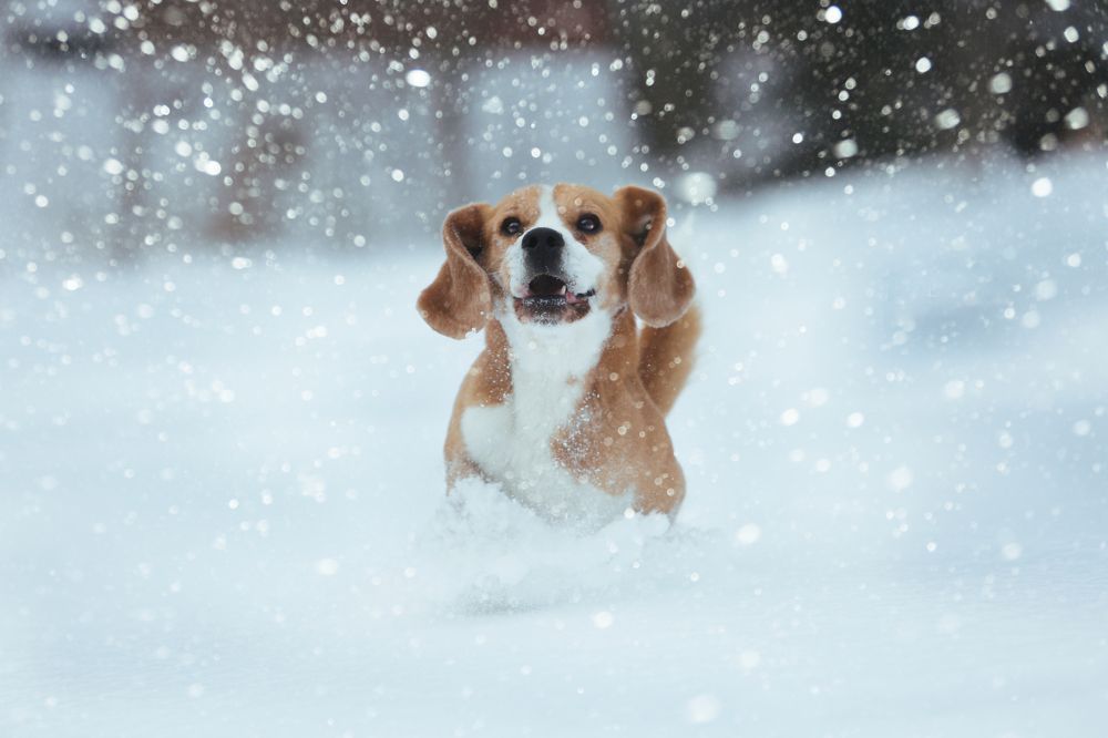 Фотография автора Katerina Mumzhinskaya