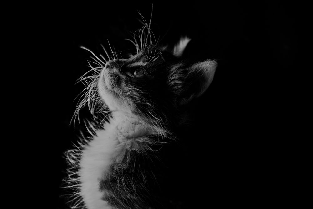 Photograph by Mohammed Rezaiguia