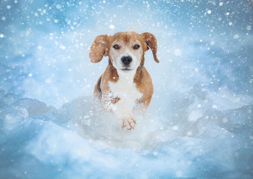 Фотография автора Katerina Mumzhinskaya